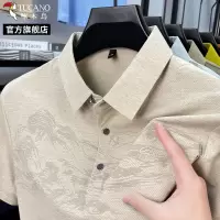 啄木鸟2025新款男士短袖t恤翻领polo衫休闲百搭爸爸父亲t恤夏装C