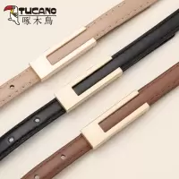啄木鸟皮带女士装饰配连衣裙子平滑扣设计感小众高级感裤腰带细带