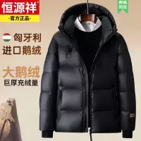 恒源祥羽绒服男士高端进口鹅绒连帽加厚保暖防寒防风黑金外套男装