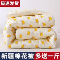 新疆棉被芯棉花被子单双人学生宿舍棉絮春秋冬铺底床垫褥加厚保暖