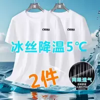 夏季冰丝短袖t恤男速干网眼宽松大码男装白色T恤衫短袖男男T