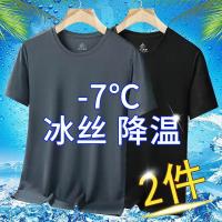 冰丝速干短袖T恤男士夏季薄款透气休闲运动修身圆领衫网眼t1/2件