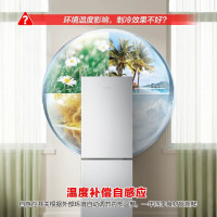 容声170升冰箱迷你双门二门两门双开门家用电冰箱宿舍小户型租房小型冰箱 以旧换新 BCD-170E10BNLAD凯撒银