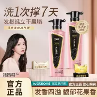 三个魔发匠鱼子酱奢养盈润发膜洗发水 修复干枯补水柔顺官方正品