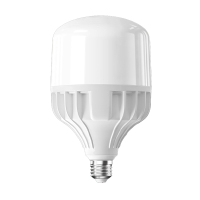 讯博士 DP100 80W 中性光 4000K 螺纹旋入式 接口尺寸:27mm LED 中低天棚灯泡 (单位:个) 白色