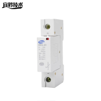 宜黔技术 浪涌保护器 RM2-20 个