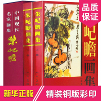 朱屺瞻画集(上下) 16开全2册 中国现代名家画集 铜版纸彩色印刷 朱屺瞻画册 正版书籍