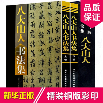 八大山人书法集 八大山人书法作品集 中国书画名家全集 朱耷毛笔字帖精选集 艺术书法书籍正版16开全集