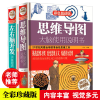 正版精装 思维导图+左右脑开发训练题典 2册 让孩子更聪明 左右大脑潜能开发思维训练 逻辑开发记忆训