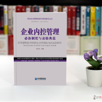 2020年企业内控管理制度与表格典范 企业管理出版社正版成功企业管理制度与表格典范丛书精选140套制