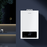 长虹家用燃气热水器16L恒温全新二代蜂窝聚能舱抑菌玻璃面板 JSQ30-16H201免费安装