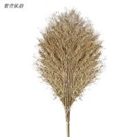 紫萱依韵 户外竹扫把 竹柄扫把4斤 1把