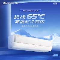 格力挂机冷静王+KFR-35GW/(35562)FNhAa-B1(皓雪白)