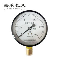 嘉禾长久+膜盒压力表检测定制型+YE60+块