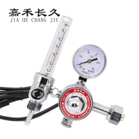 嘉禾长久 二氧化碳加热型减压器检测定制型 YQT-731L 个