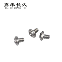 嘉禾长久 压力表螺丝 CJLS-001 个