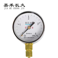 嘉禾长久 氧气压力表减压器表头检测定制型 YO60 块