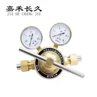 嘉禾长久 氧气减压气检测定制型 氧气表(双头) 个