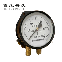 嘉禾长久 双针压力表 YZS-102 1.0级 带灯24v 台