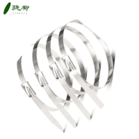 不锈钢扎带 10*500/包