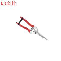 奎比农业树枝修枝果剪刀小号-铁柄大号