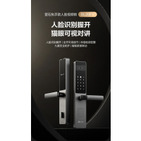 萤石DL20FV执手款人脸视频锁