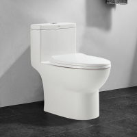 GOLD金牌卫浴家用防堵坐便器防臭节水喷射虹吸抽水马桶连体式 KA(不含安装)RF2160