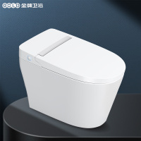 GOLD金牌卫浴家用一体式1级水效节水微智能马桶陶瓷座圈加热轻智冲坐便器 KA (不含安装)RF3169Q