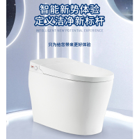 金牌卫浴轻智能马桶一体式半智能电动即热双段劲冲家用坐便器新款KA(不含安装)RF3192Q