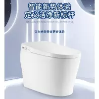 金牌卫浴轻智能马桶一体式半智能电动即热双段劲冲家用坐便器新款KA(不含安装)RF3192Q