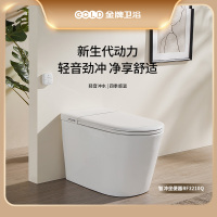 金牌卫浴GOLD R11Q无水压轻智能马桶 四季温感座温KA(不含安装)RF3210Q