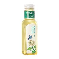 东方树叶-茉莉花茶-1*15*500ml-纸箱装