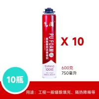 先围 发泡胶 FPJ-2 750ml10瓶 箱