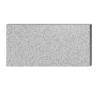 先围 户外地铺石 芝麻浅灰300*600mm 片