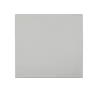 先围 防腐耐酸瓷砖 200*200*20mm素面 片