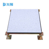 先围 全钢陶瓷防静电地板 600*600*40mm小兰花 片