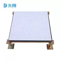 先围 全钢陶瓷防静电地板 600*600*40mm小兰花 片