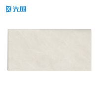 先围 瓷砖大板 750*1500*11mm-5001 片
