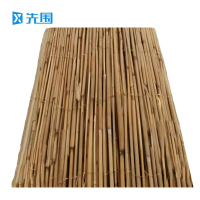 先围 防沙芦苇帘 1.5*10m 卷