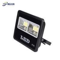 腾达鸿-LED投光灯 球场灯高杆灯 100W /个