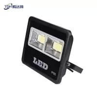 腾达鸿-LED投光灯 球场灯高杆灯 100W /个