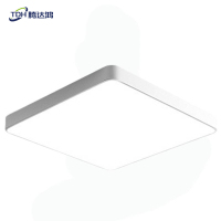 腾达鸿-LED方形吸顶灯 40*40cm36W 白壳白光/个