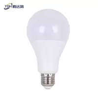 腾达鸿-LED低压灯泡 12-85V通用 15W /个