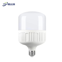 腾达鸿-LED节能灯泡 10W E27螺口 /个