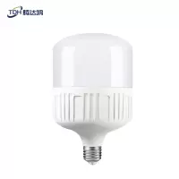 腾达鸿-LED节能灯泡 10W E27螺口 /个