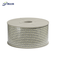 腾达鸿-LED高亮防水灯带 220V-12W /米