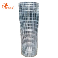 跃牛科技 不锈钢防鸟网 2m*30m*2cm 卷