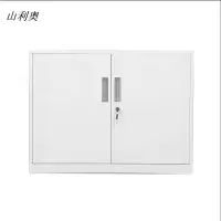 山利奥对开门文件柜650*850*390/个