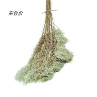 斯鲁伯 户外竹扫把 木柄塑料丝2.5斤 1把