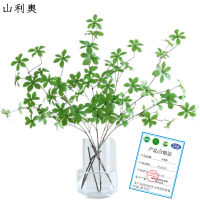 山利奥 餐桌摆件 SLA-342/瓶